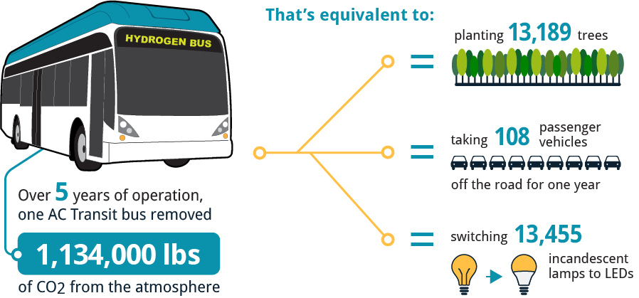 Over five years of operation, one AC Transit bus removed 1,134,000 pounds of CO2 from the atmosphere. That&#039;s equivalent to planting 13,189 trees, taking 108 passenger vehicles off the road for one year, and switching 13,455 incandescent lamps to CFLs.